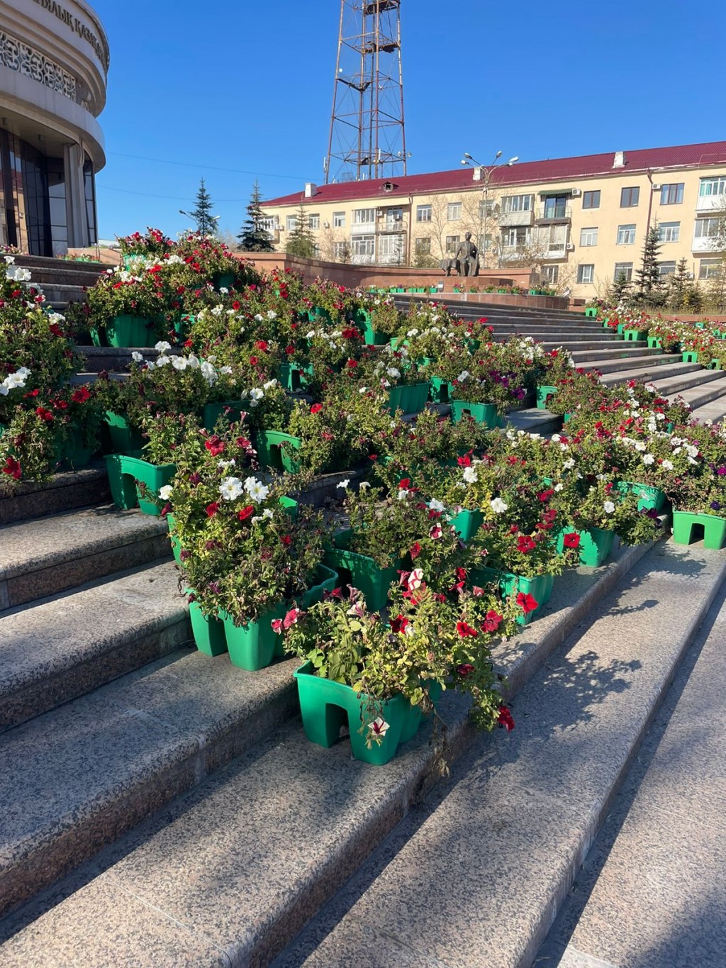 Начать уборку вазонов с цветами попросил депутат Карагандинского маслихата