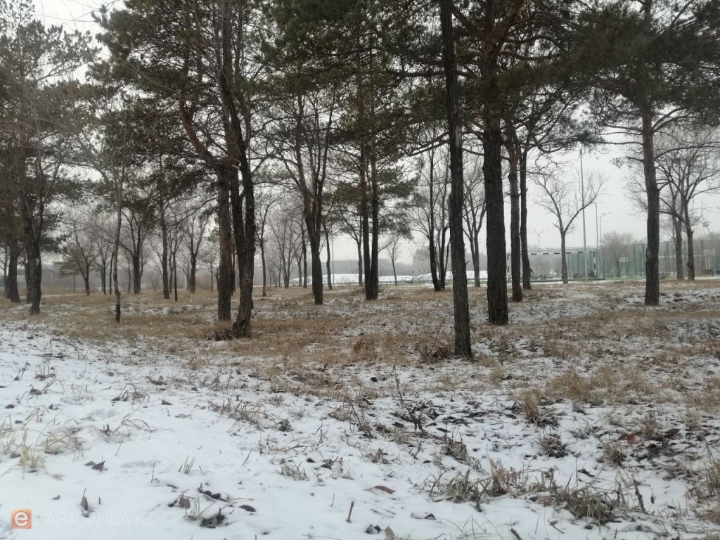 Холодный четверг: о погоде в Карагандинской области на 22 января