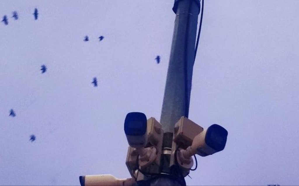 Үкіметте Қазақстандағы АИ-камералардан болуы мүмкін айыппұлдар туралы түсініктеме берілді