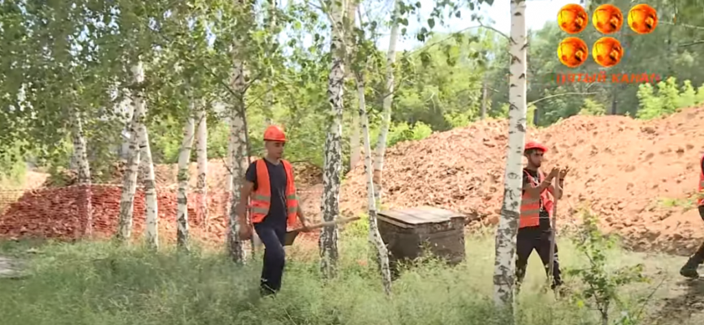 В Темиртау вырубят 714 деревьев