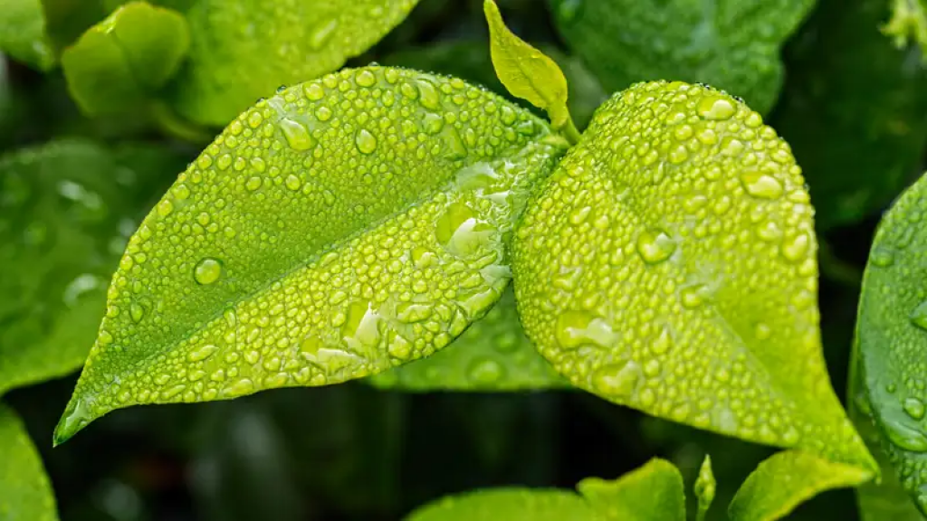 Дожди и грозы не спешат покидать Казахстан