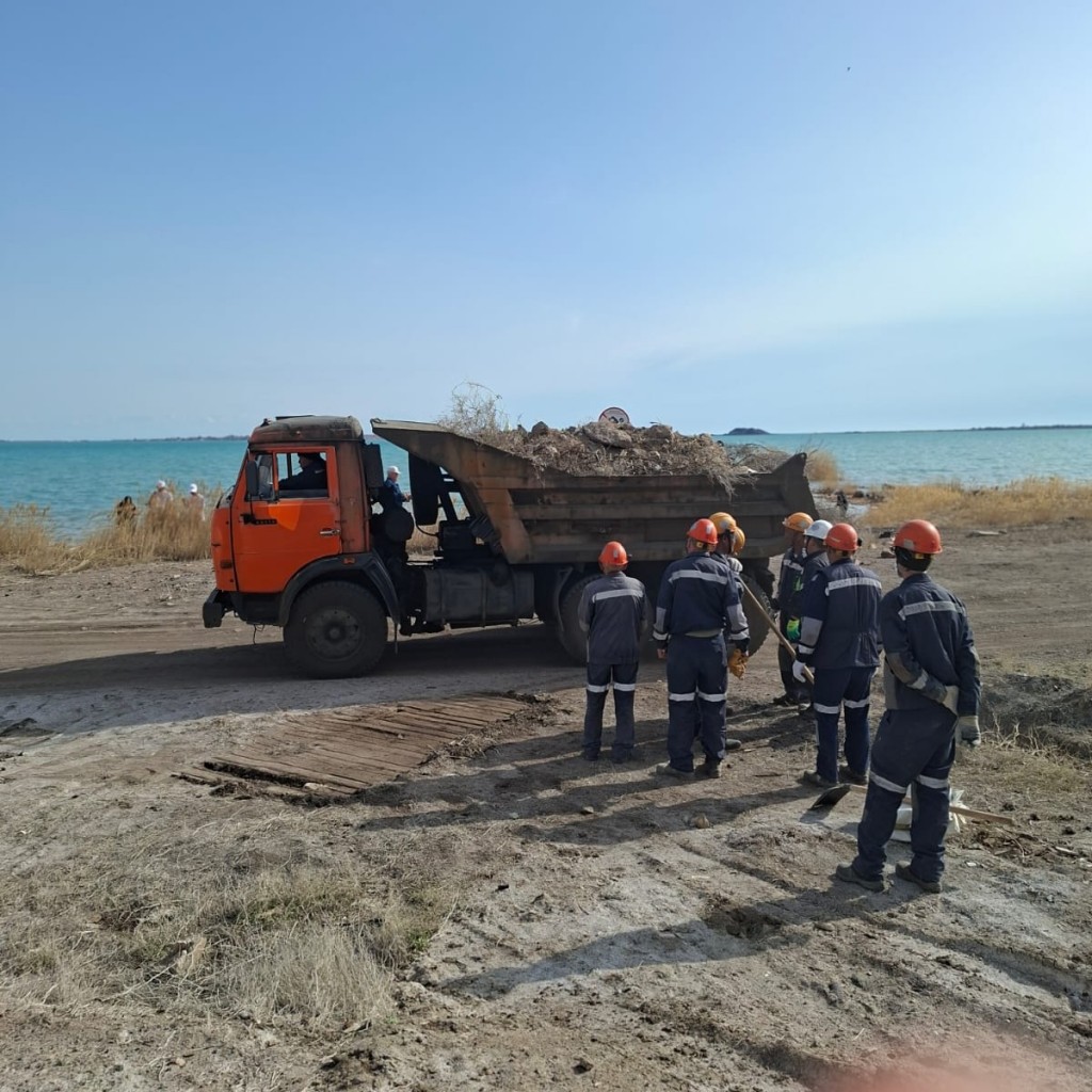 На озере Балхаш прошла экологическая акция