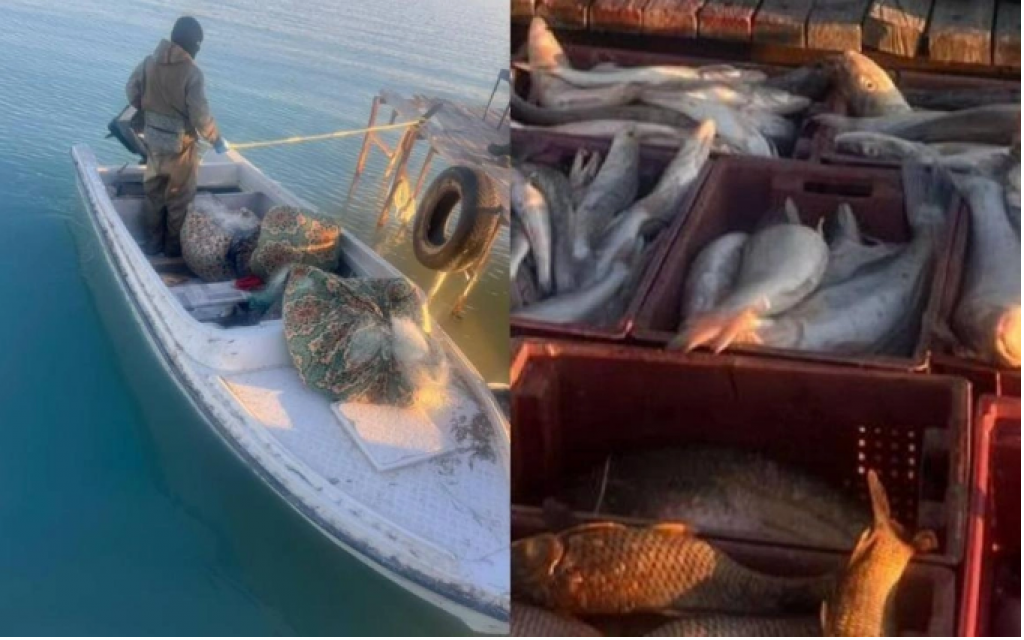 Какие штрафы грозят казахстанцам за незаконный лов редких рыб