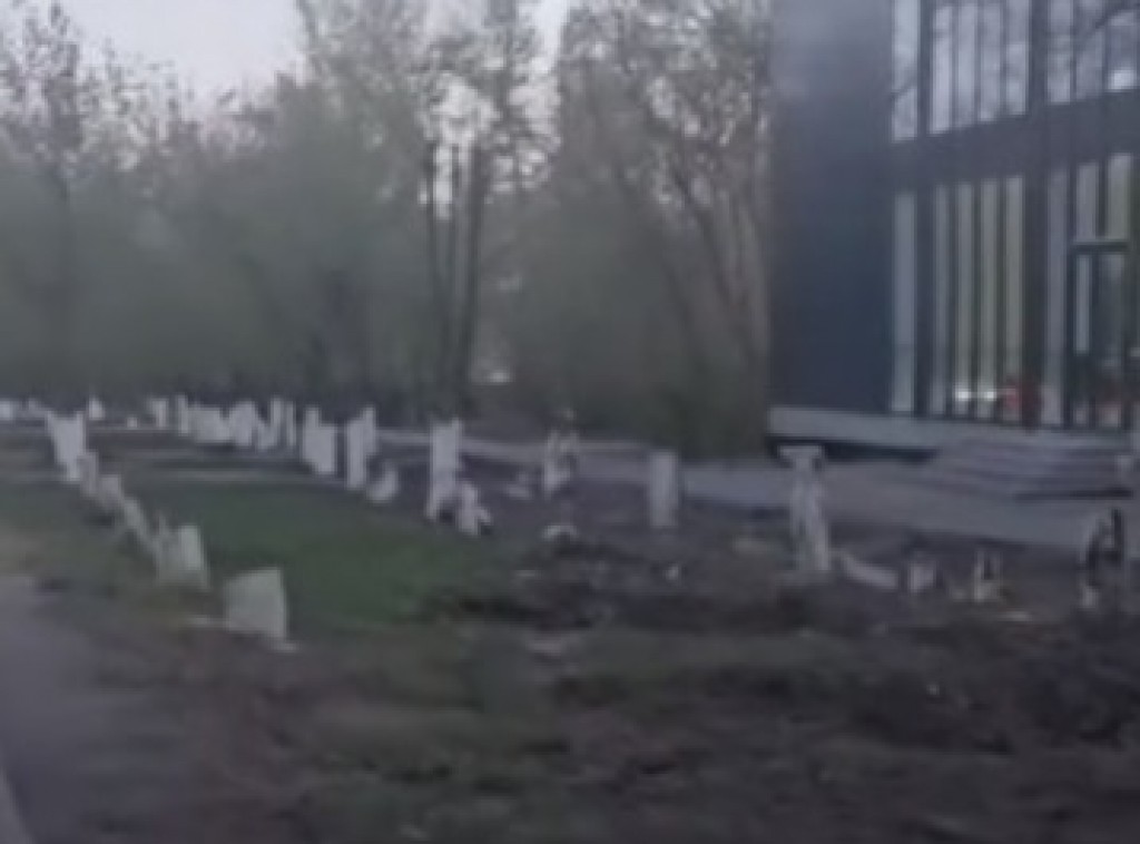 «Все по закону»: ради очередного магазина в Темиртау вырубили более десятка деревьев
