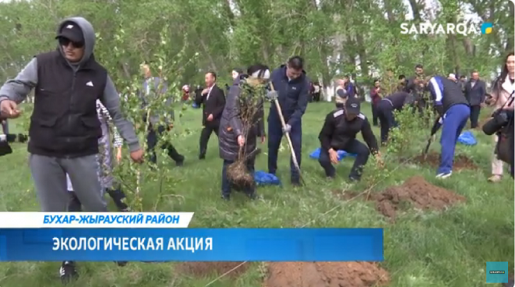 В Бухаржырауском районе провели работы по благоустройству парка и высадке саженцев