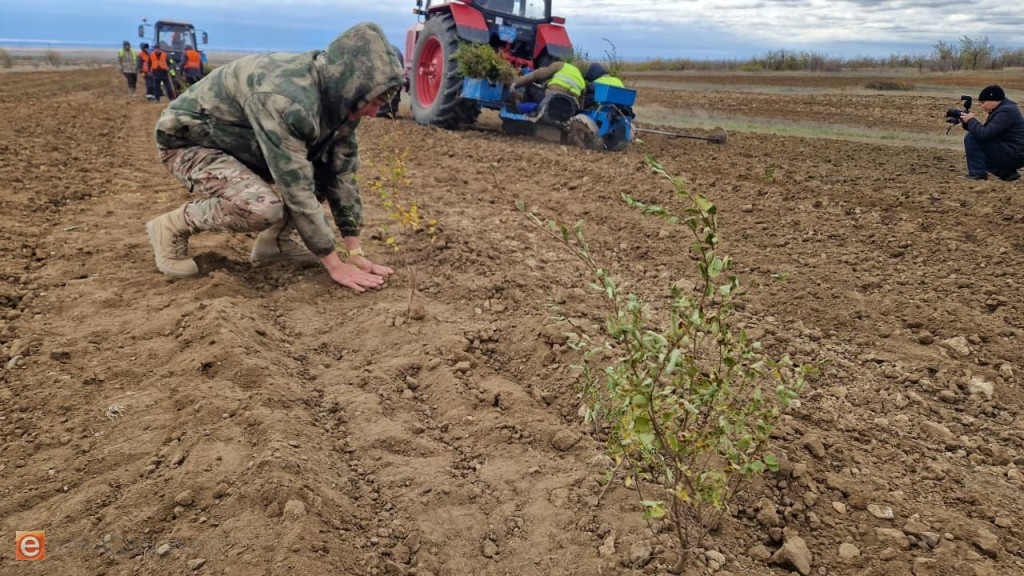 Аграриям Казахстана выделили 288 млрд тенге для посевной