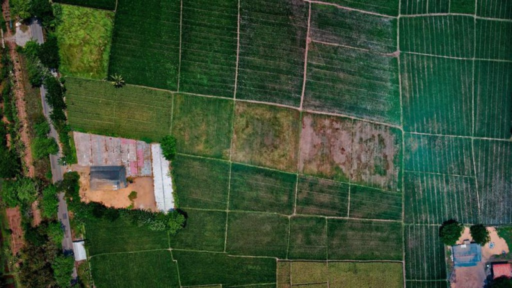 Как в Казахстане планируют контролировать использование природных ресурсов