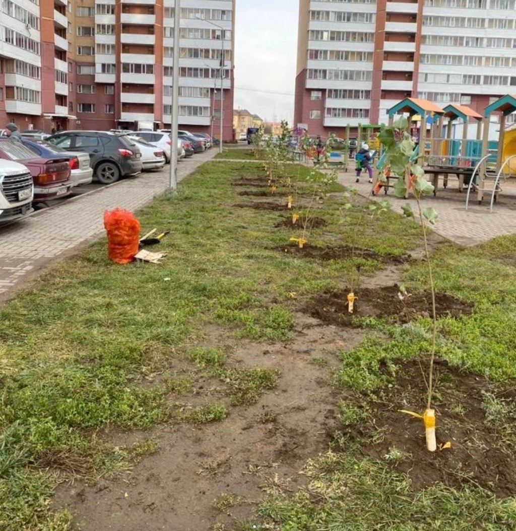 Жильцы Караганды своими силами высадили молодые саженцы для озеленения своих дворов