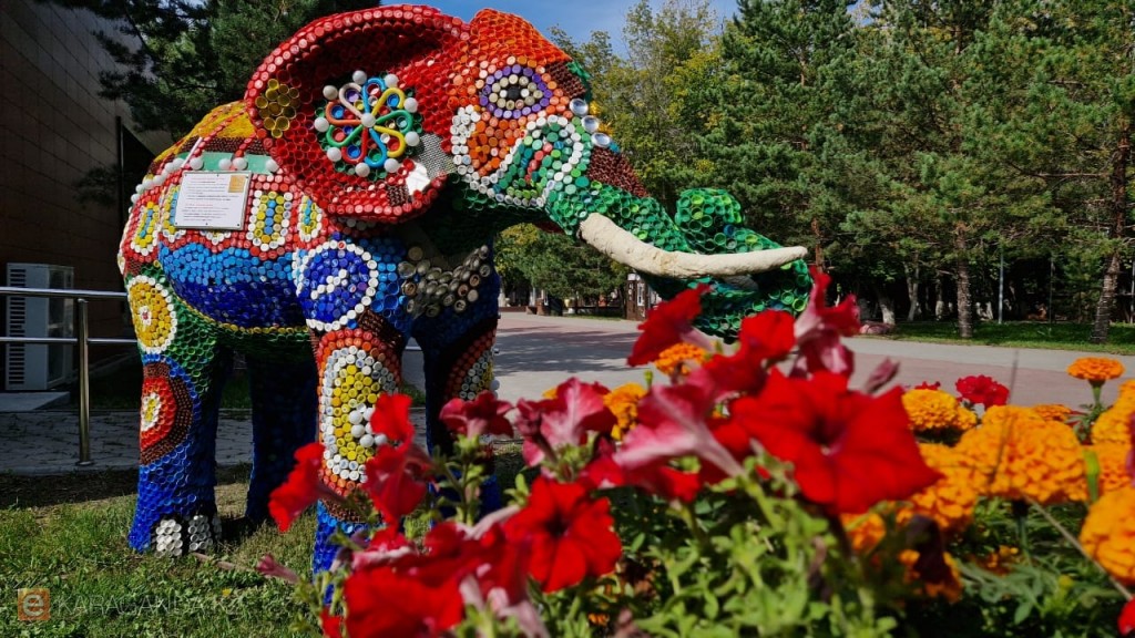 Қақпақ пілі: Қарағандыдағы экологияның жаңа символы