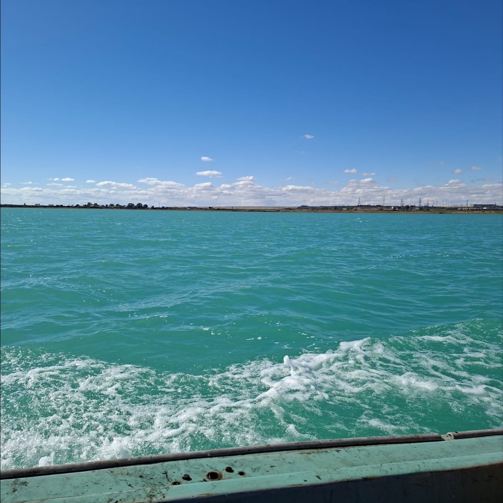 Экологи Карагандинской области очищают водоёмы от браконьерских сетей