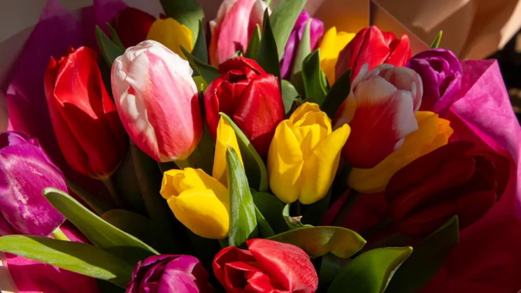 Как казахстанцы отдохнут на мартовские праздники