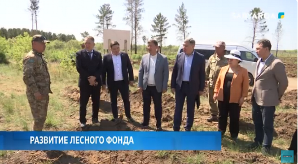 Қарағанды облысында орман қорын дамыту жұмыстары жалғасуда