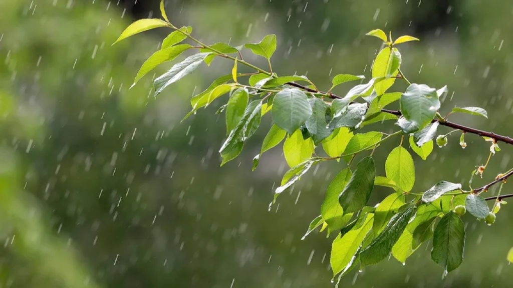 Какая погода ожидает казахстанцев 8 июня