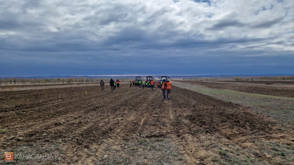 Порно баннерлер үшін емдеу бағдарламасы