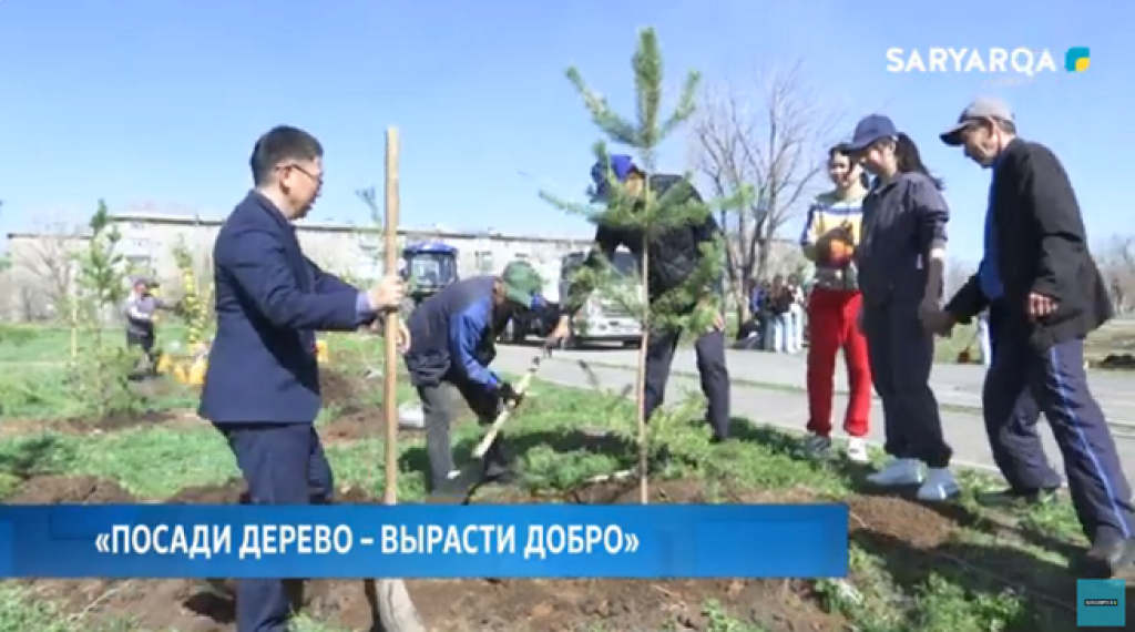 В рамках акции «Таза Қазақстан» прошла массовая посадка зеленых саженцев в парке Майкудука