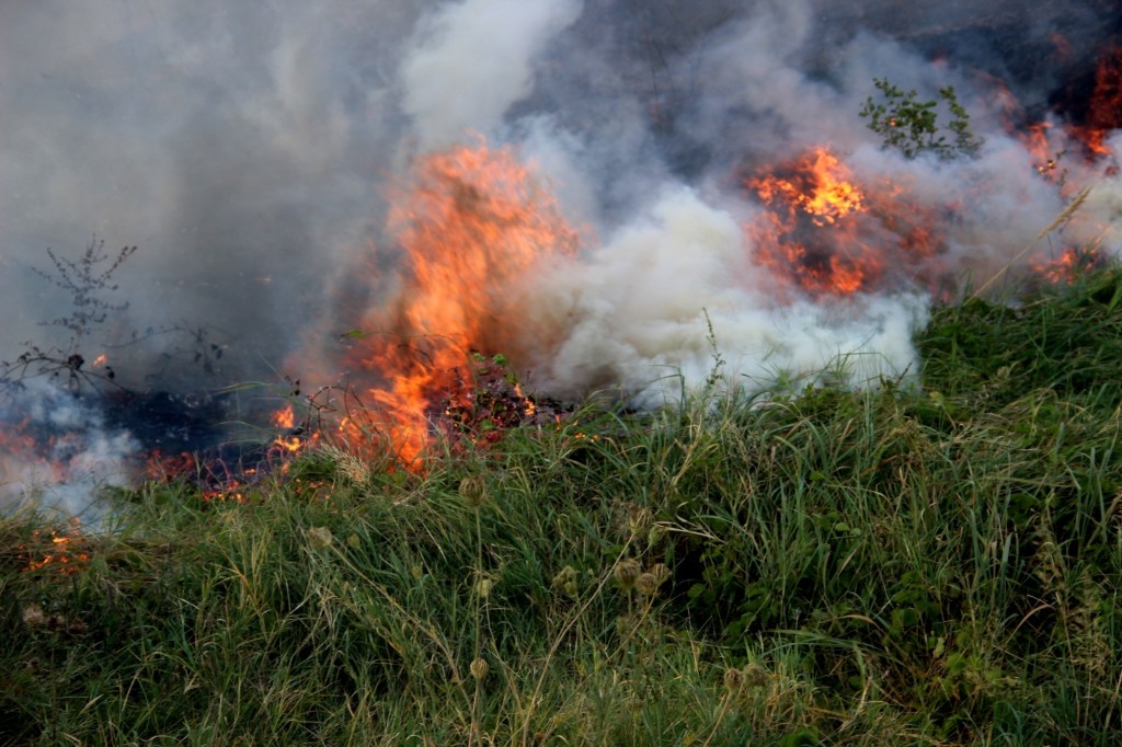 Опасное солнце: в Карагандинской области за жаркие дни случилось более двухсот пожаров