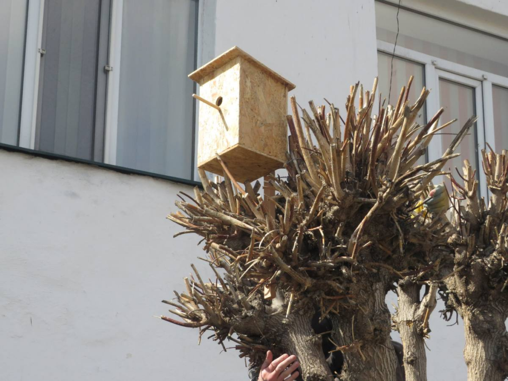 День защиты птиц: осужденные изготовили скворечники в колонии Караганды