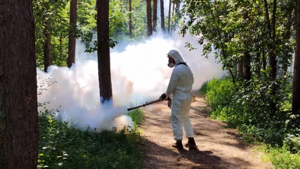 Работы по дезинсекции провели в Центральном парке Караганды