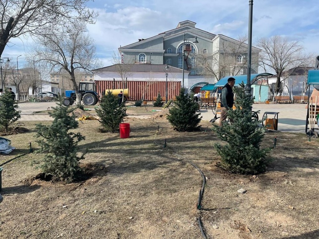 Этой весной в Балхаше планируют высадить 2300 саженцев