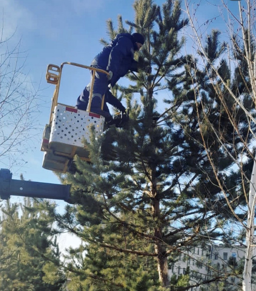 В Караганде около 100 деревьев пострадали от прошедшего шторма. Некоторые погибли