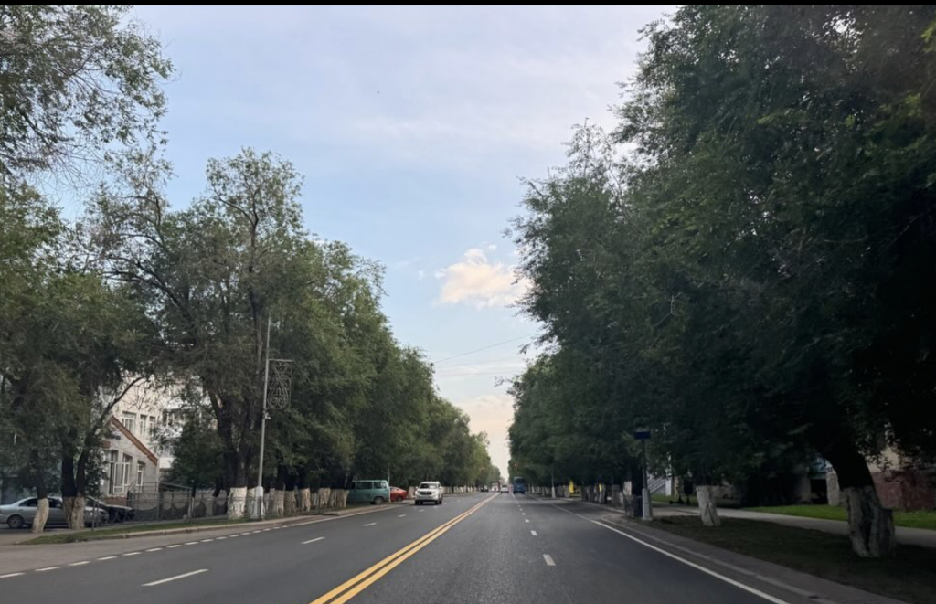 В Караганде демонтировали пешеходный переход, где зимой насмерть был сбит мальчик