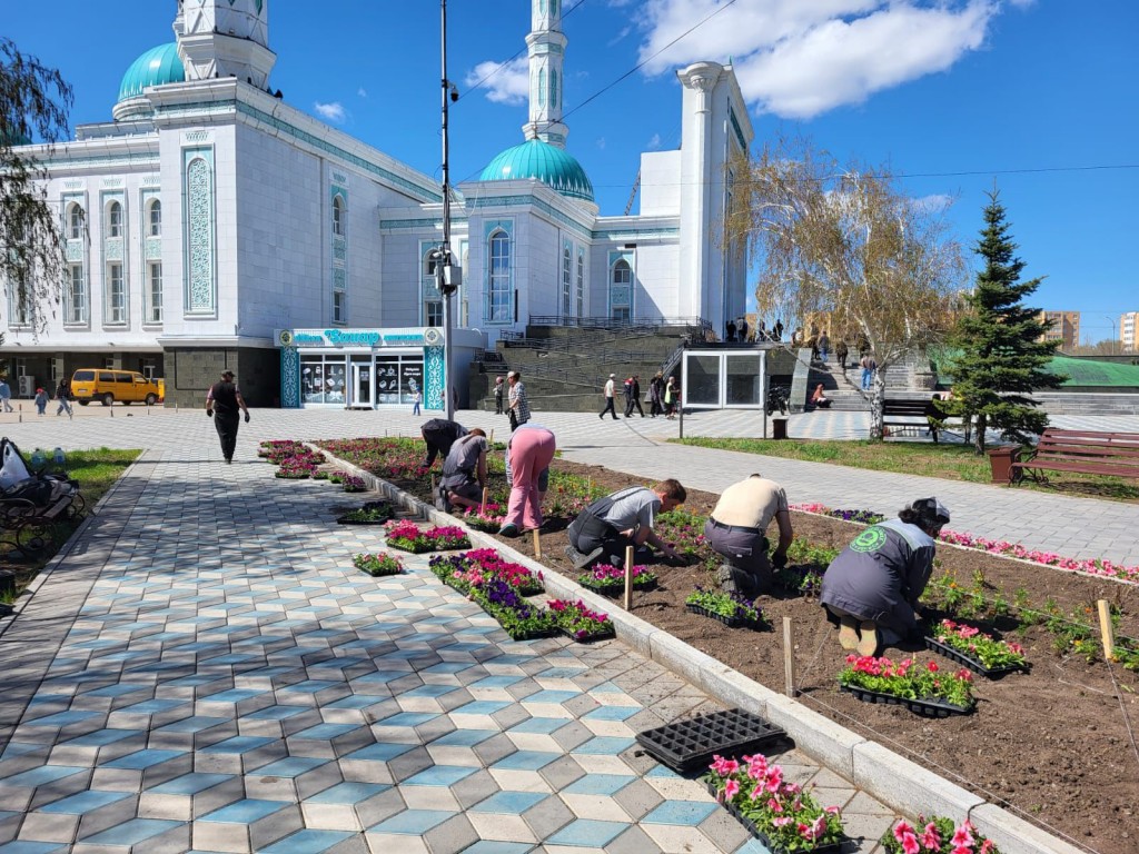 Посадка стартовала: какие цветы будут украшать Караганду в этом году