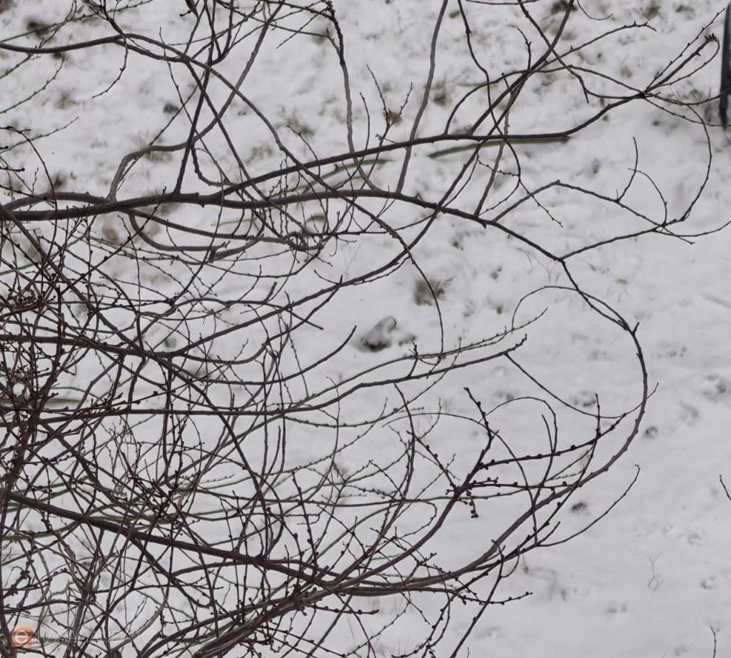 Құтқарушылар ескертеді: Қарағанды облысында қалың қар мен суық болады деп күтілуде