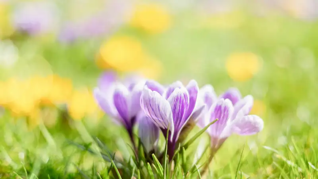 Потепление до +20°С и прекращение осадков ожидаются в Казахстане