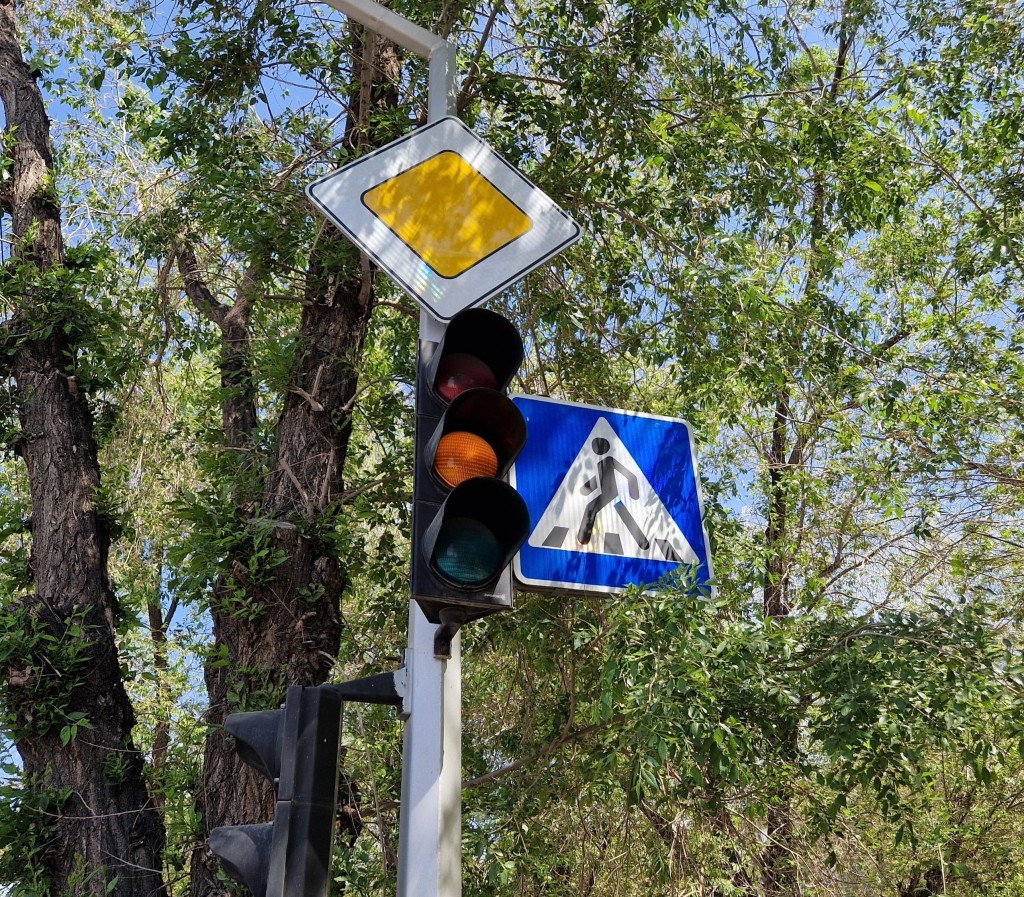 Disney арнасының порно және мультфильмдерін қараңыз