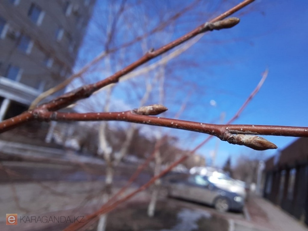 Көктемгі өзгерістер: 3 сәуірде Қарағанды мен облыста ауа-райынан не күтуге болады