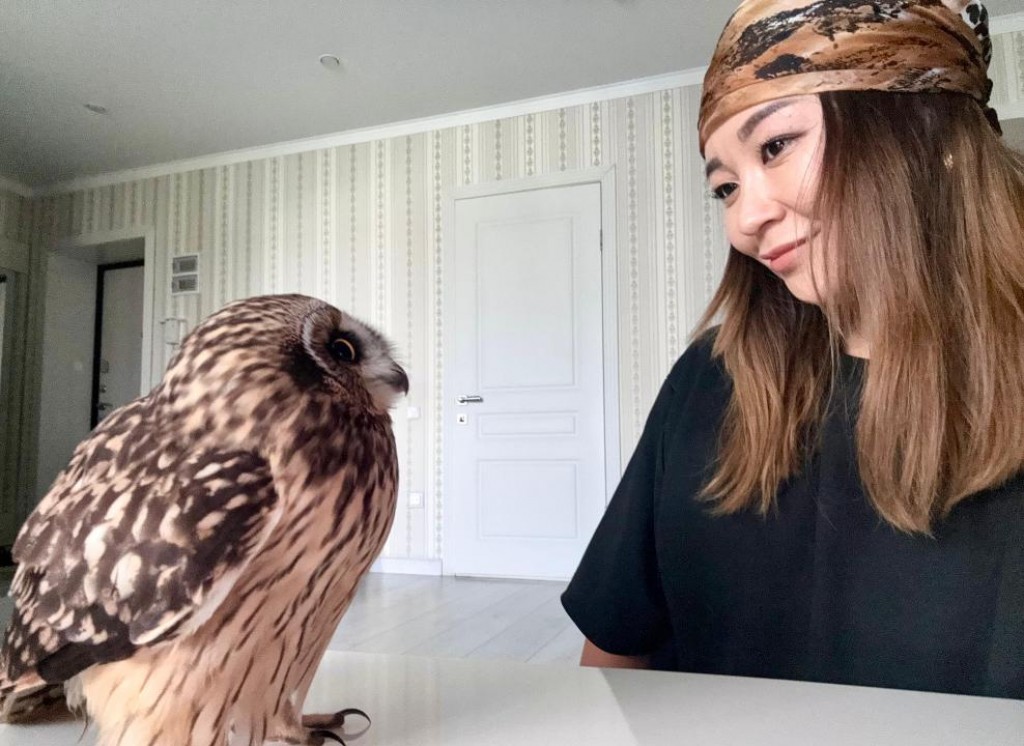 Одно крыло, но много любви и заботы: карагандинка спасла дикую сову и стала её опекать