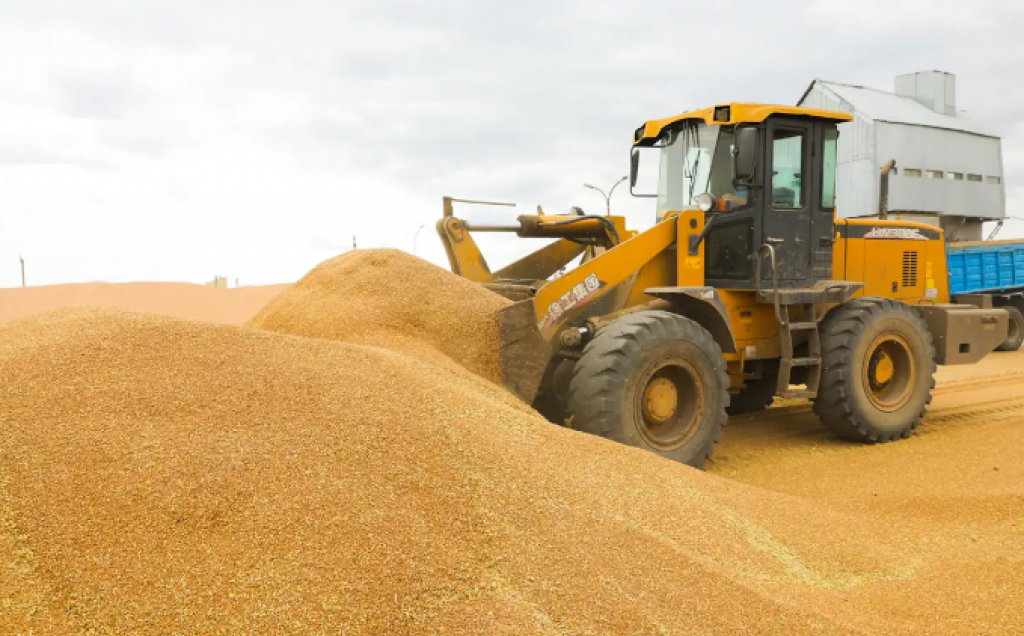 Как в Казахстане осуществляется прямая закупка зерна у фермеров