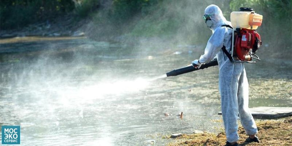 На днях в Караганде начнут проводить дезинсекцию