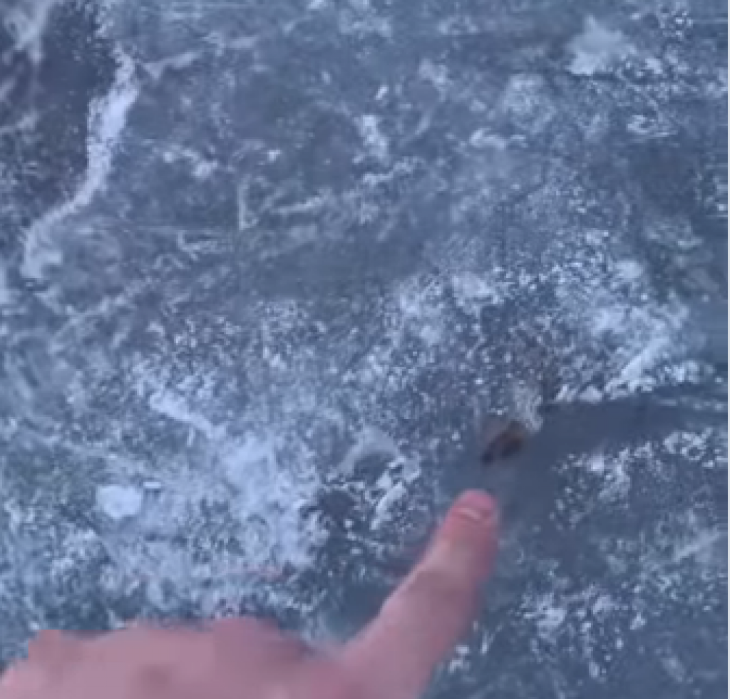 Зимнее развлечение в Сарани обернулось неожиданным инцидентом