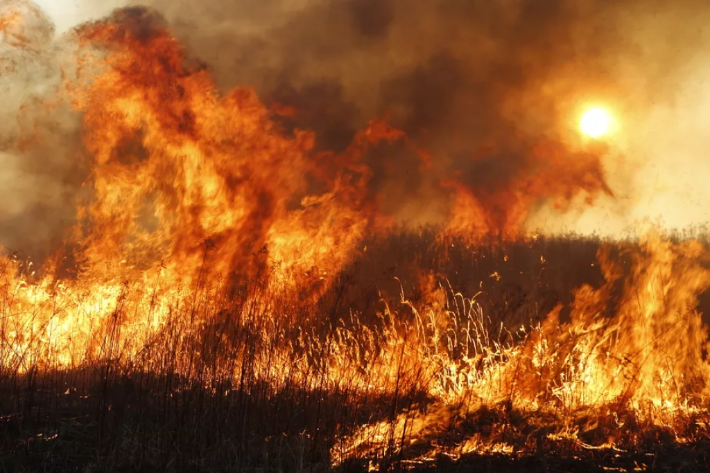 Более трех тысяч гектаров степи горит в Каркаралинском районе в данный момент