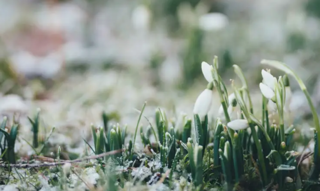Прогноз погоды на 1 марта: туман, осадки и усиление ветра ожидаются в Казахстане
