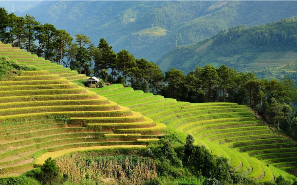 Какие зарубежные направления популярны среди казахстанских туристов