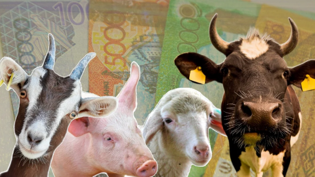 Ірі қара және ұсақ мал: Қазақстандағы мал бағасы