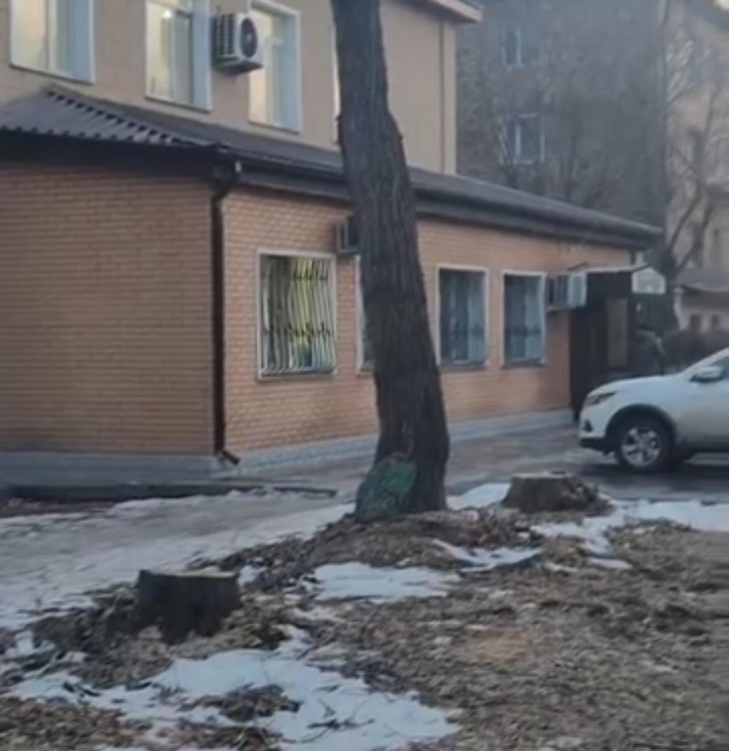 Қарағандыда кезекті ағаш кесуге рұқсат берілді