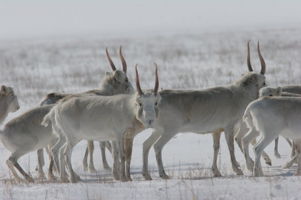 Величественное зрелище: на трассе 
