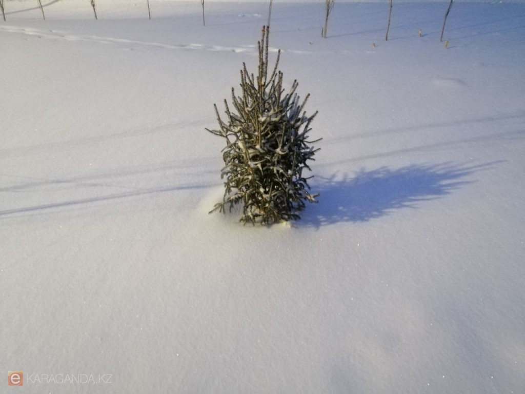 Прогноз погоды в Карагандинской области на 10–11 января