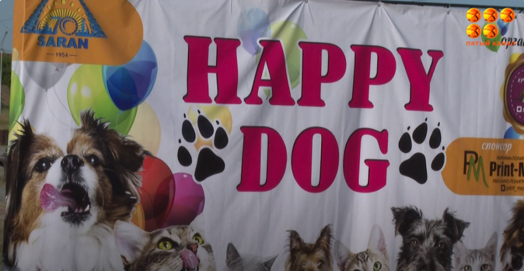 В городе Сарань прошла благотворительная акция Happy Dog