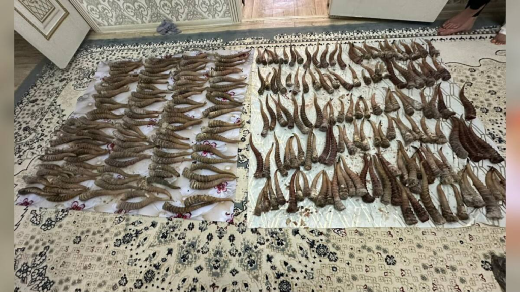 Природоохранная полиция усилила работу по борьбе с незаконной охотой и рыболовством в Карагандинской области