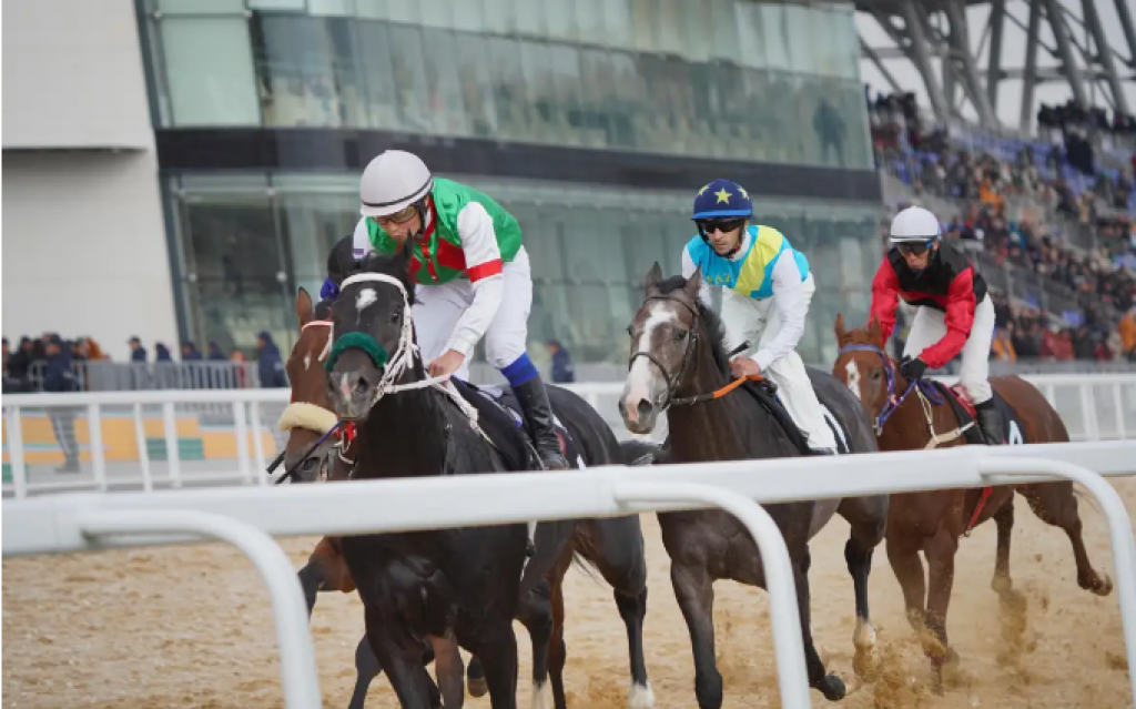 Почти 6 млрд тенге выделили на развитие национальных видов спорта в Казахстане