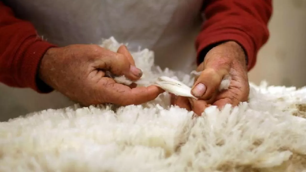 Казахстан отменяет пошлины на экспорт шкур и шерсти