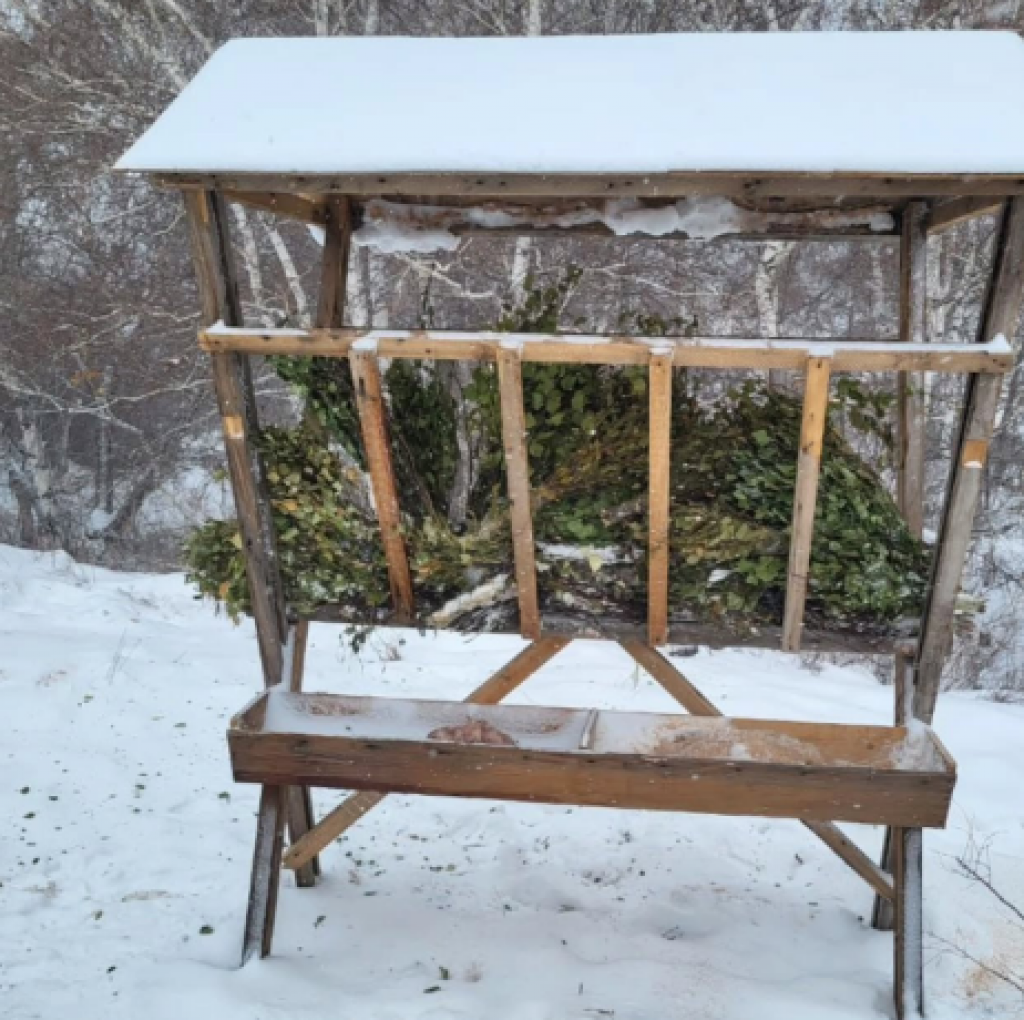 В Карагандинской области поддерживают диких животных в зимний период