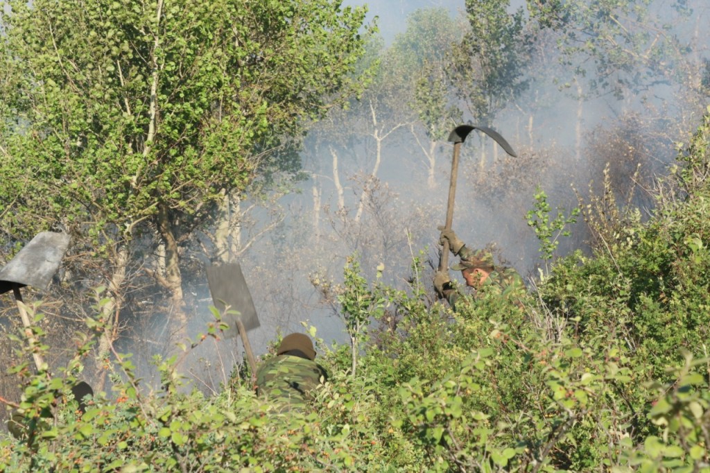 Пожароопасный период в Карагандинской области: какие меры принимает ДЧС