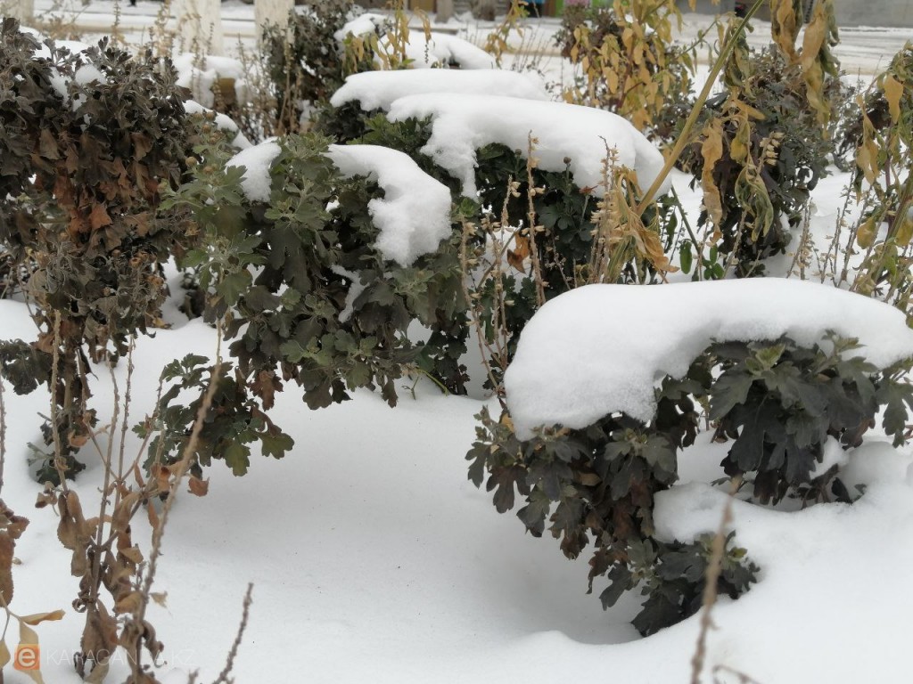 Морозные выходные в Карагандинской области: прогноз на 24–25 января