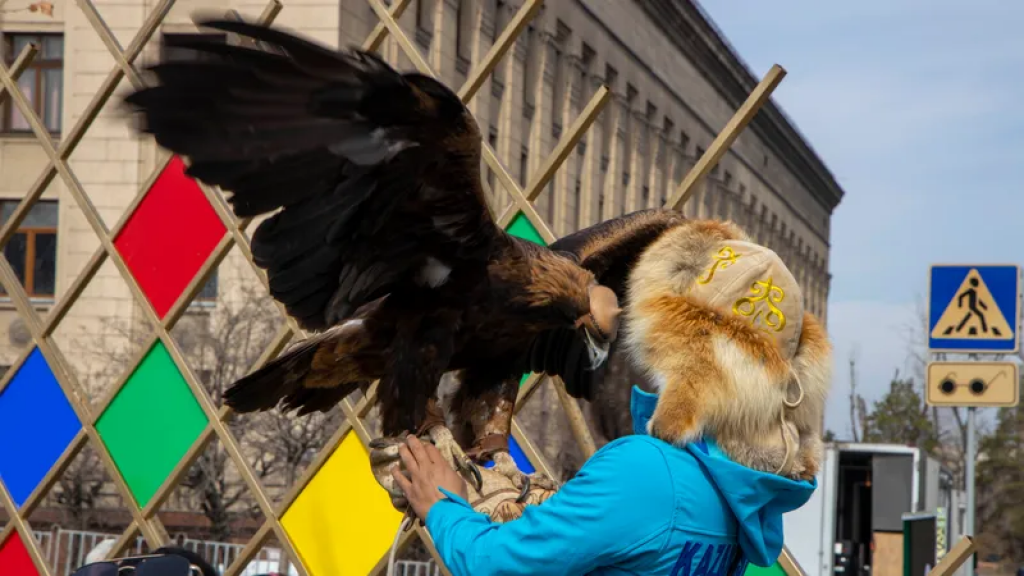 Использовали животных для развлечения на Наурыз: кто понесет ответственность, ответил министр экологии