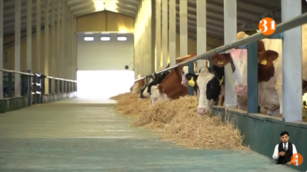 Цены на мясо взяли под контроль, но значит ли это что продукт стал дешевле?